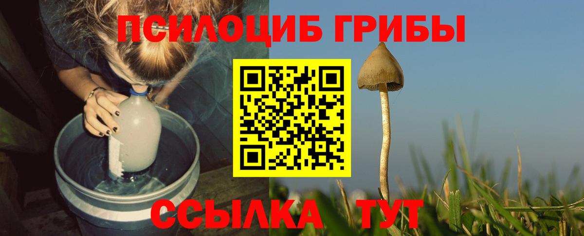 Псилоцибиновые грибы Psilocybe  Вход с VPN  Галлюциногенные грибы GOLDEN TEACHER  Усолье-Сибирское 